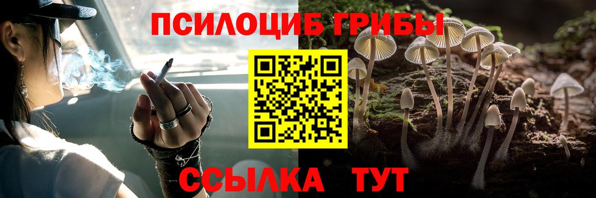 Псилоцибиновые грибы Psilocybine cubensis  Вход с VPN  Сосновый Бор 